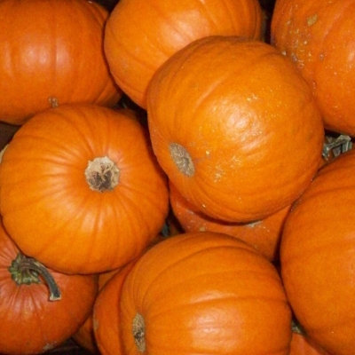 more pumpkins