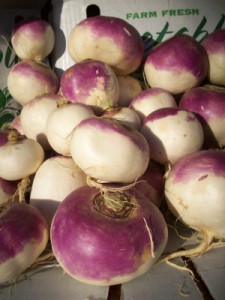purple-top-turnips-300px