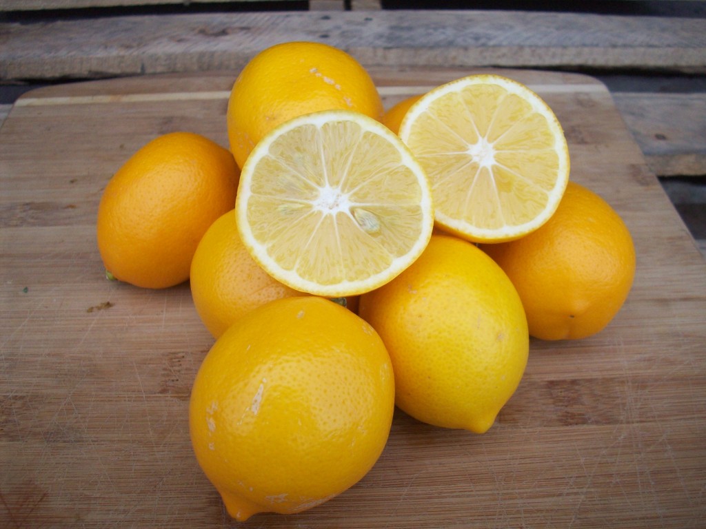 an image from the blogpost Meyer Lemons!