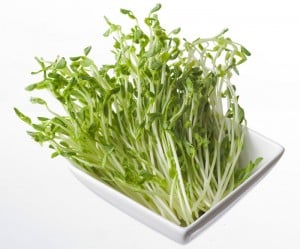 an image from the blogpost 4 Fun Ways to Use Pea Shoots!