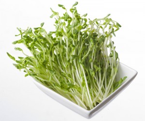 Pea Shoots