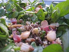 pea shoot salad with chorizo and almonds