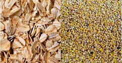 Grains