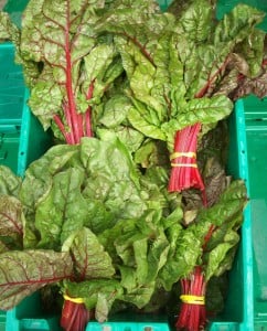 Red Chard