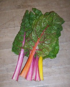 Rainbow Chard