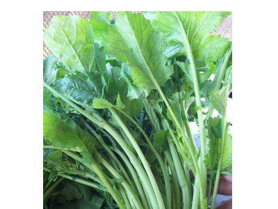 an image from the blogpost Broccoli Rabe from Pedersen Farms Looking Good!