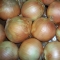 Organic Yellow Onions
