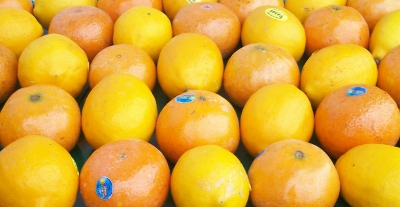 Meyer Lemons and Honey Tangerines
