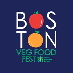 2017_BVFF_TShirtLogo_small