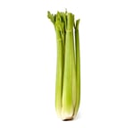 BCELERY-celery-stalk-addon