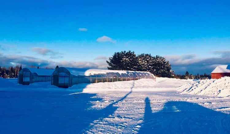 Natures_Circle_Farm_Winter