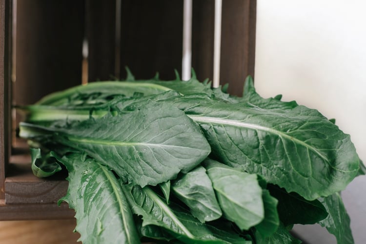 Dandelion Greens