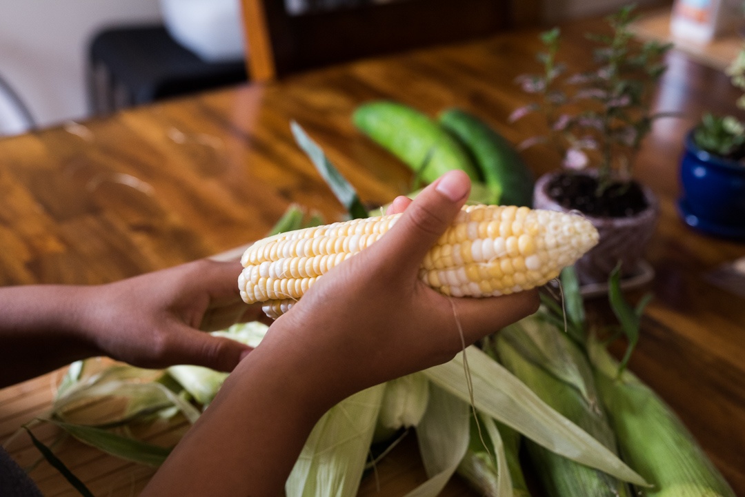 Boston Organics - Corn Shucking