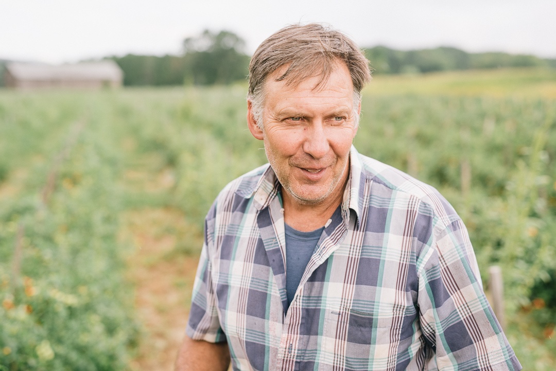 Boston Organics - Joe Czajkowski in a field of Cherry Tomatoes