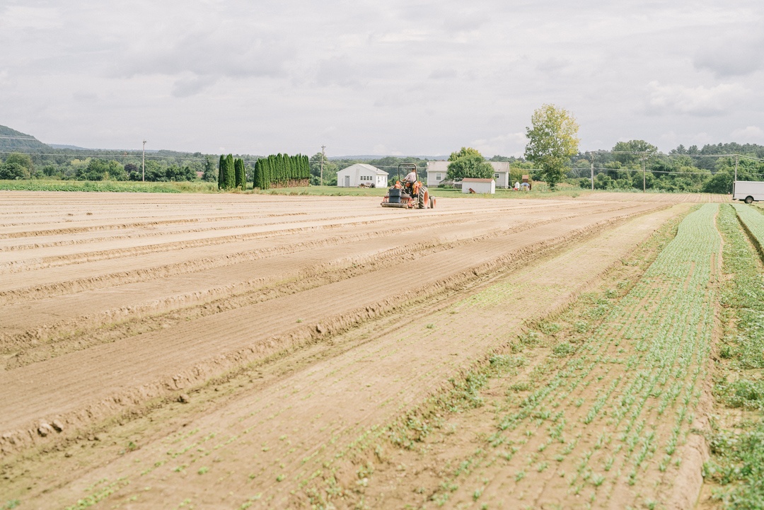 Boston Organics - Preparing a field at Queen's Greens