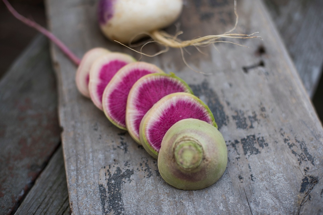 Boston Organics - Watermelon Radish