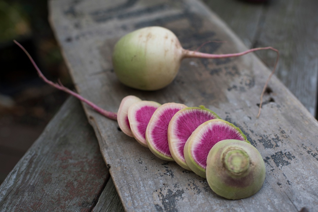 Boston Organics - Watermelon Radishes