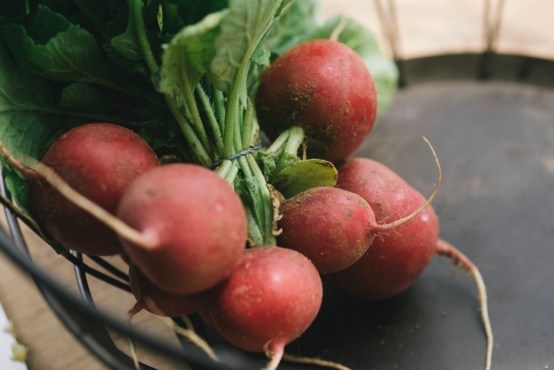 Bunched Radishes