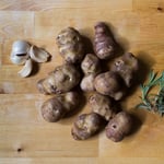 Boston Organics - Sunchokes and Garlic