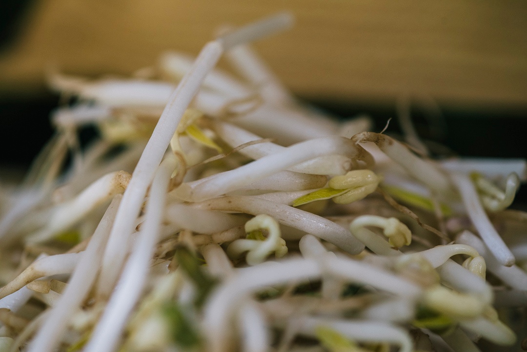 Boston Organics - Mung Bean Sprouts