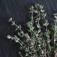 thyme_bunch1_1080px