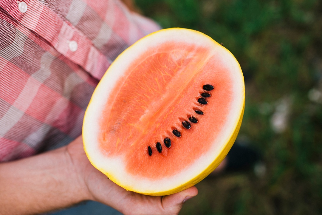 Boston Organics - Golden Midget Watermelon