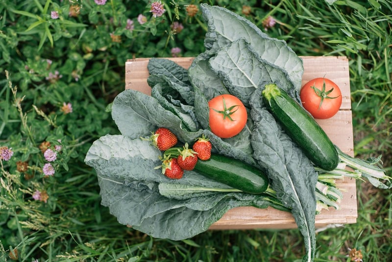 Local tomatoes, strawberries, zucchini, kale | Boston Organics