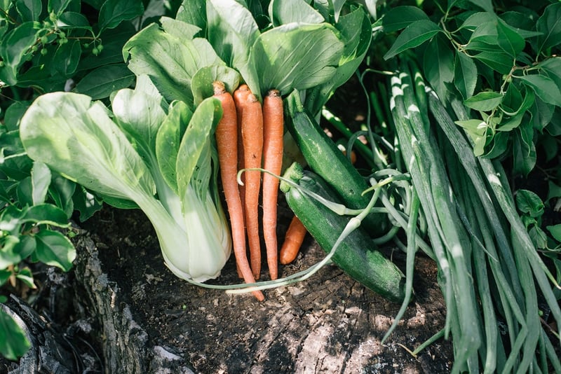 Local carrots, bok choy, zucchini, scallions | Boston Organics