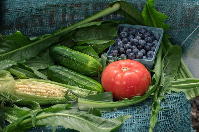 Locally-grown organic corn, tomatoes, blueberries and cucumber | Boston Organics