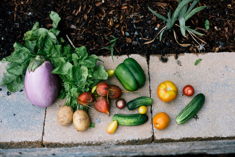 Organic Fruit and Vegetable Delivery | Boston Organics
