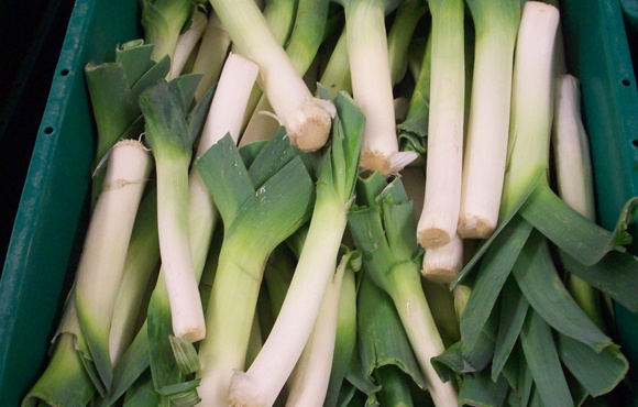 leeks_bin_atlas_580px