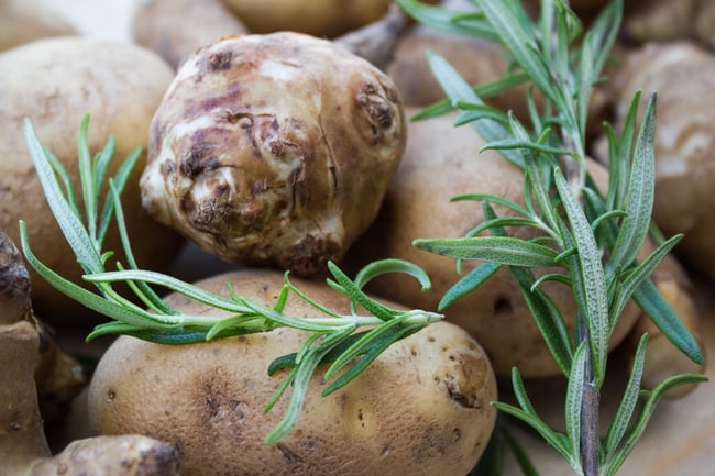 Sunchokes, Rosemary | Boston Organics