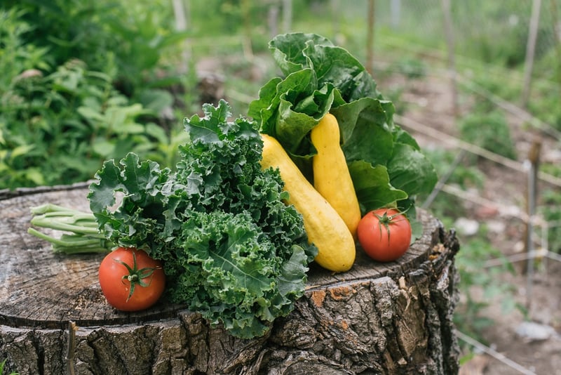 Local Organic Vegetables | Kale, Tomatoes, Lettuce, Zucchini