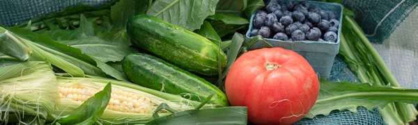 Boston Organics - Eat Local Boston Organics - Eat Local