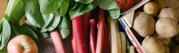 Boston Organics - Eat Local Boston Organics - Eat Local