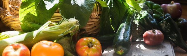 Boston Organics - Eat Local Boston Organics - Eat Local