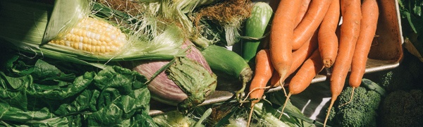 Boston Organics - Eat Local