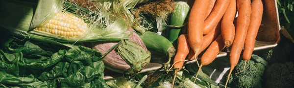 Boston Organics - Eat Local Boston Organics - Eat Local