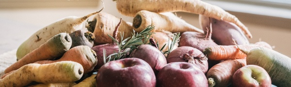 Boston Organics - Eat Local