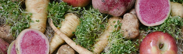 Boston Organics - Eat Local Boston Organics - Eat Local