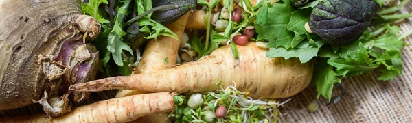 Boston Organics - Eat Local Boston Organics - Eat Local