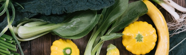 Boston Organics - Eat Local Boston Organics - Eat Local