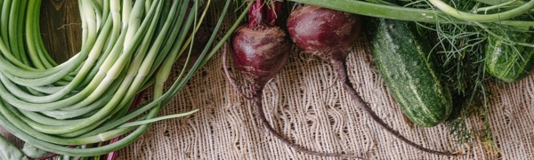 Boston Organics - Eat Local Boston Organics - Eat Local