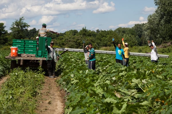 atlas_workers_waving_field_1080px