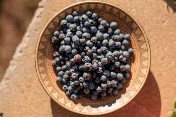 blueberries_wild_bowl_1