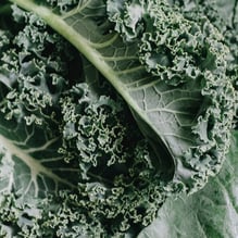 collard_greens_kale_1