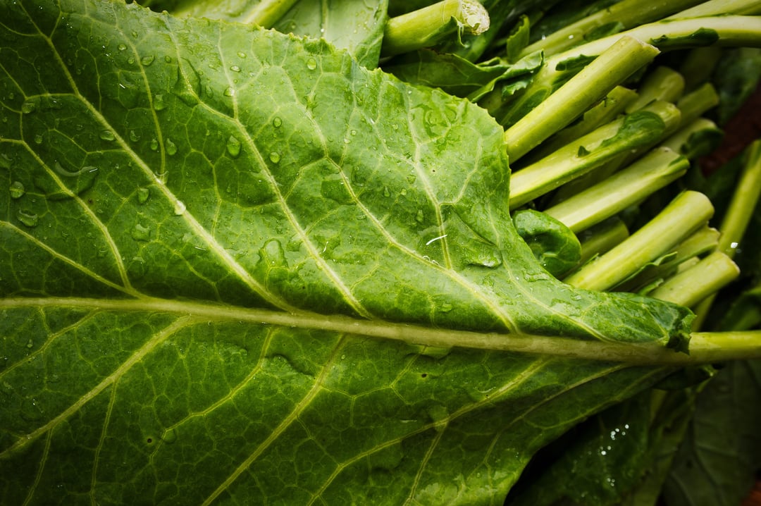 Boston Organics - Collards