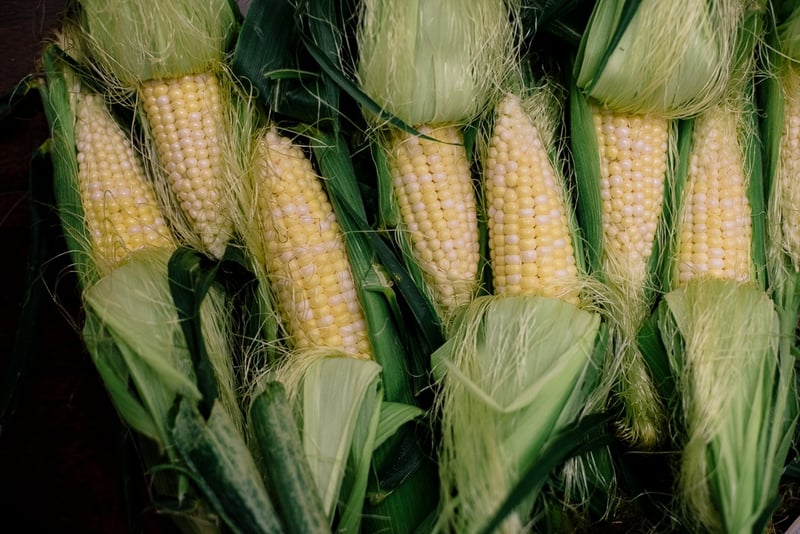 Organic Corn | Boston Organics