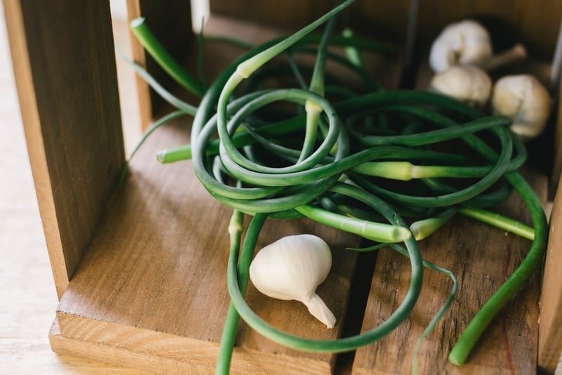 Organic Garlic Scapes | Boston Organics