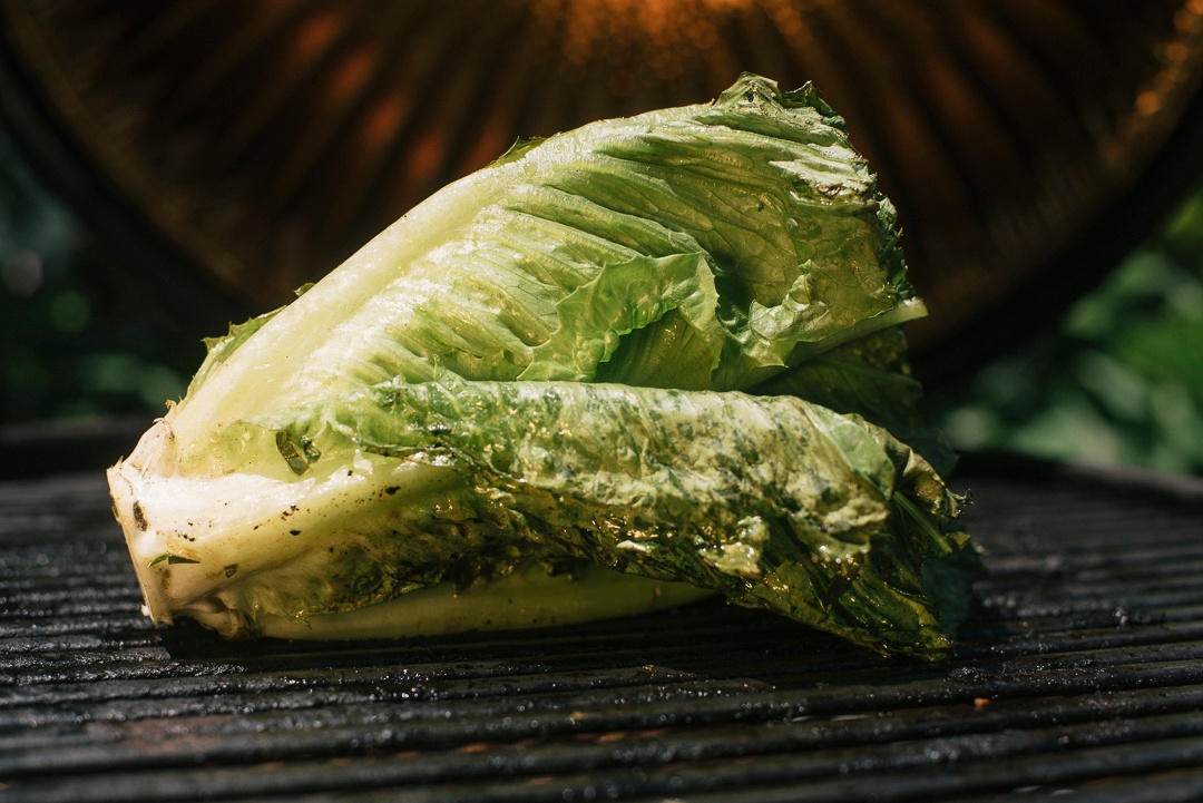 Boston Organics - Grilled Romaine Boston Organics - Grilled Romaine